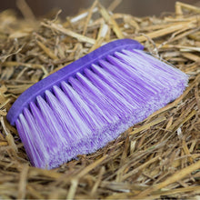 Laden Sie das Bild in den Galerie-Viewer, Haas "Pferdebürsten meets BinieBo" Set - Biniebo