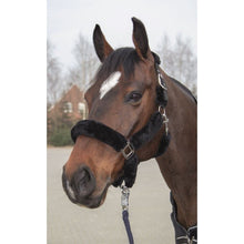 Laden Sie das Bild in den Galerie-Viewer, Set - Teddyfell Halfter + Strick schwarz - Biniebo